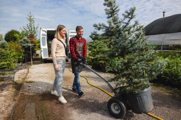 Trusted Casa Loma, CA Tree Service Experts